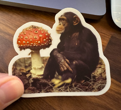 Stoned Ape Theory - Terrence McKenna inspired clear laptop sticker