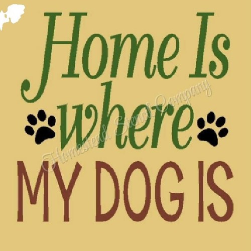 9Pcs Animal Theme Painting Stencil 11.8x11.8 Inch Reusable DIY Art And Craft Stencils Hollow Out