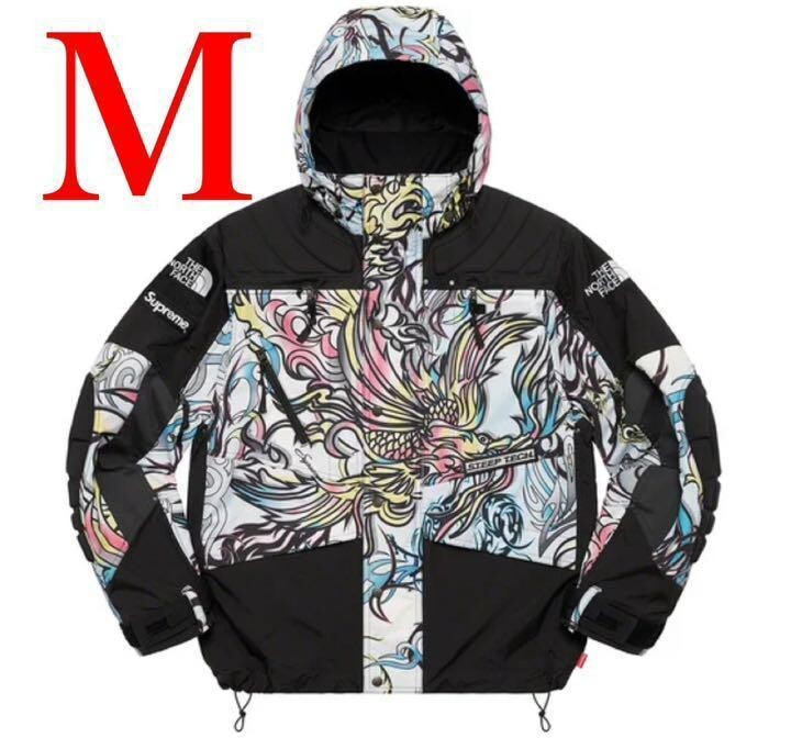 Supreme The North Face Steep Tech Apogee Jacket Dragon