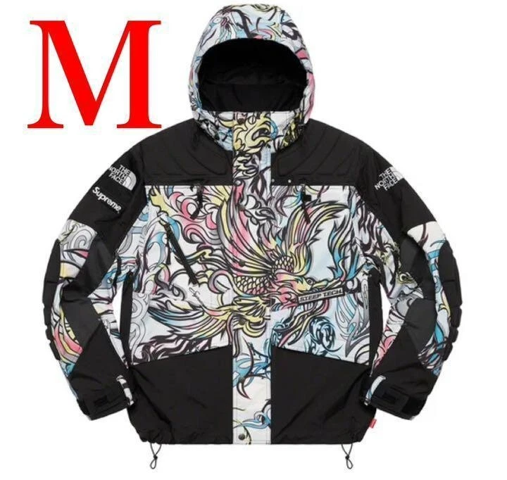 Veste Supreme The North Face Steep Tech Apogee Dragon Multicolore Homme Taille M