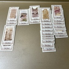 2015 Allen And Ginter Famous Finds Mixed (26)