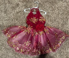 Revolution Dancewear Red and Gold Tulle Dress Size MC worn one time