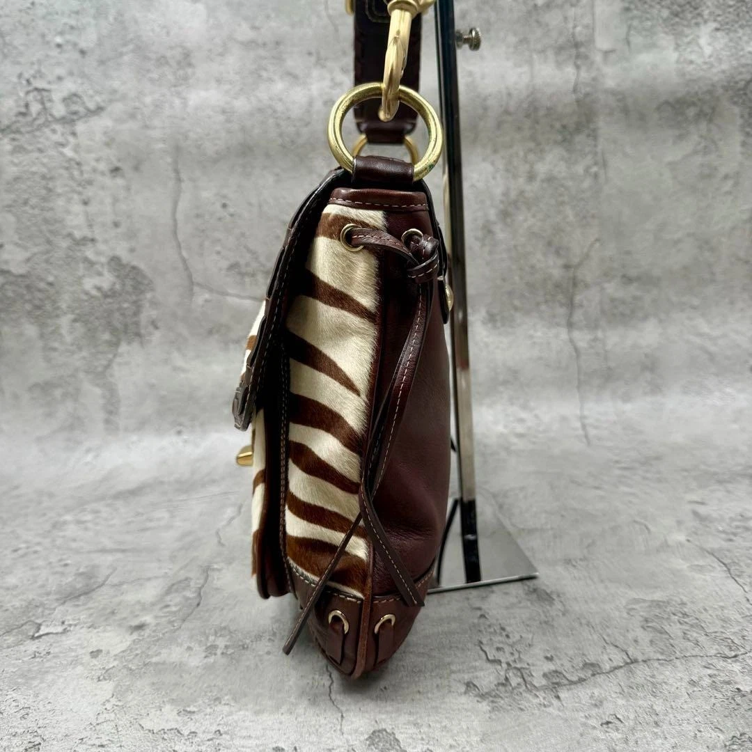 RARA BORSA A TRACOLLA COACH Y2K LEGACY RIGHE ZEBRATE CAPELLI DI VITELLO BORSA 10366