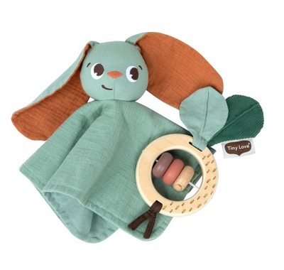 Tiny Love Gift Set
