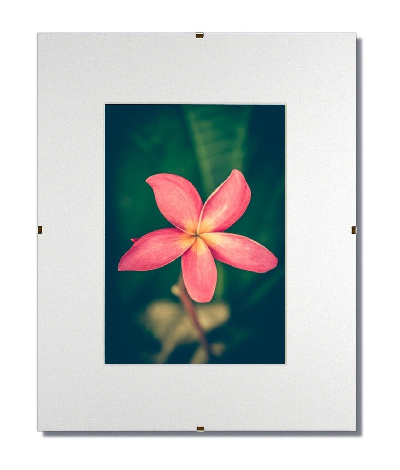 Set of 3 8x10 Glass and Clip Frames, Single White Mats for 5x7 eBay