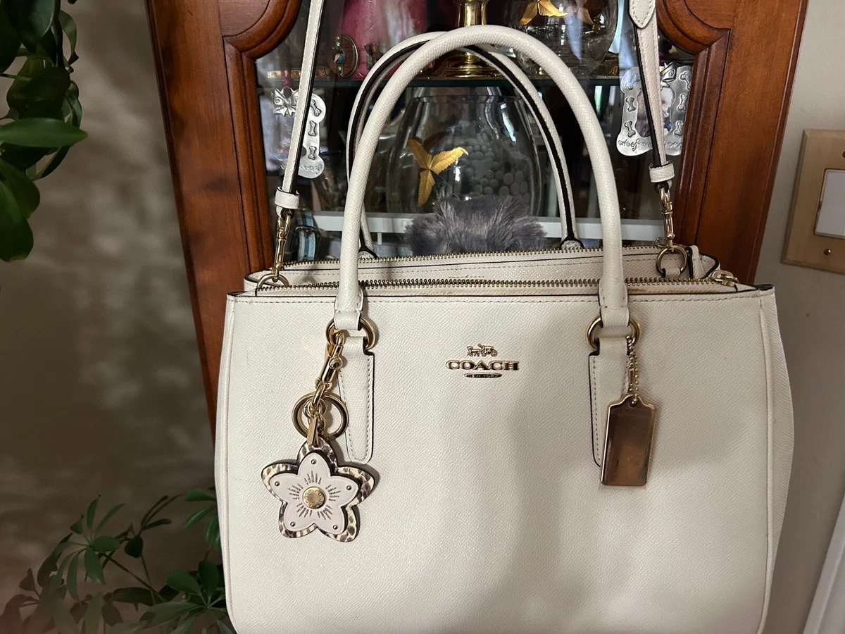 Large surrey top carryall coach