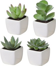 Green Decorative Artificial Succulent Plants in White Planter Pots, Set