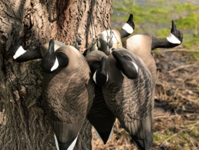 6 Pack New Goose Floater Decoys