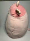 Foto 2 di 6