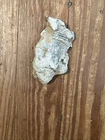Dug Civil War 💥 🇺🇸 💣 Melted Fuze Bullets PH LA