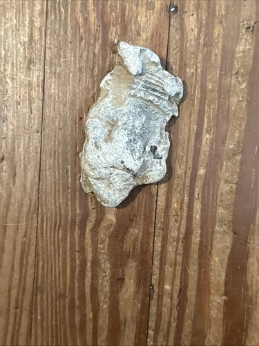 Dug Civil War 💥 🇺🇸 💣 Melted Fuze Bullets PH LA