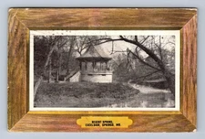 Excelsior Springs MO-Missouri Regent Spring Vintage c1911 Postcard