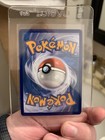 Foto 6 di 6