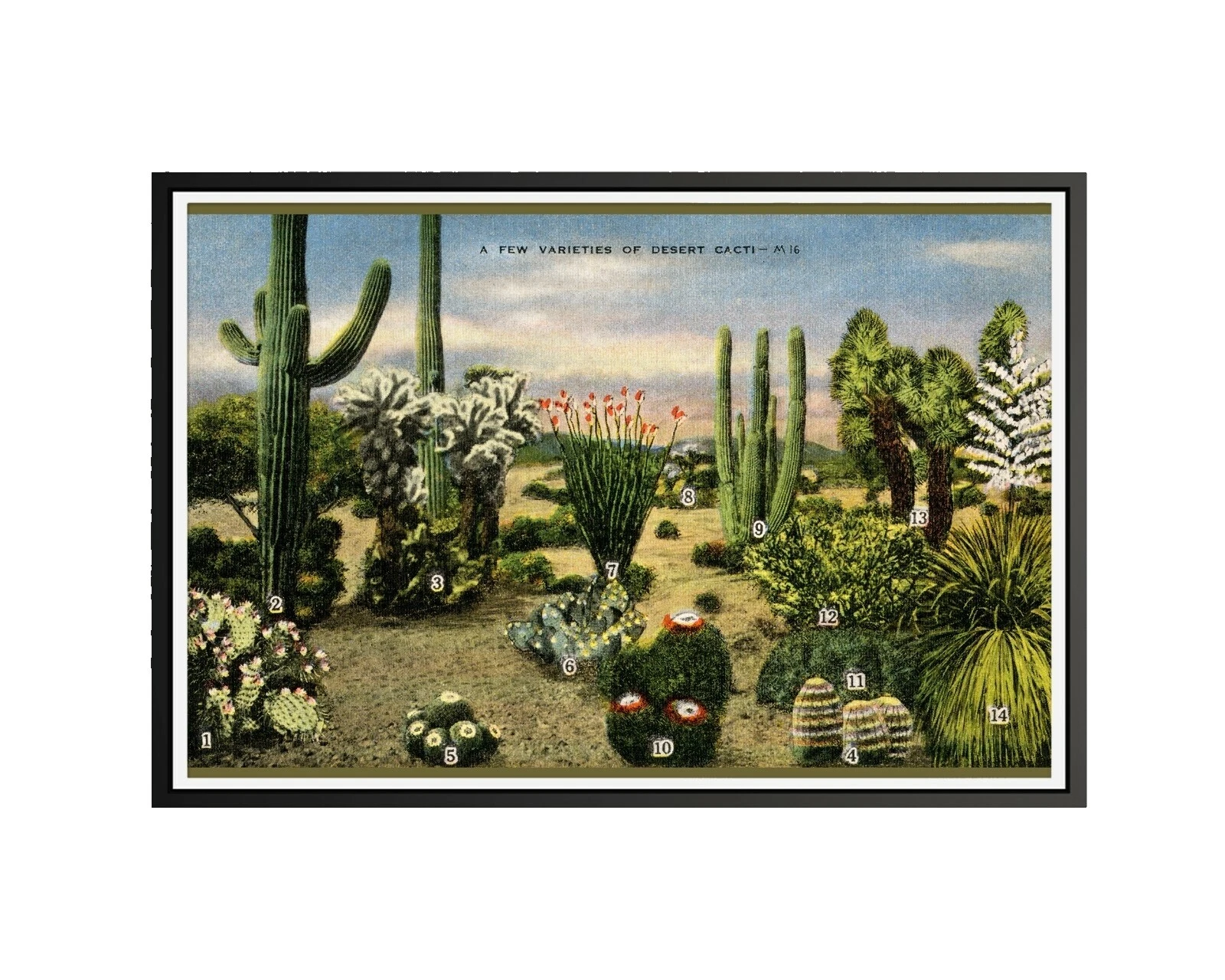 Desert Vintage/Retro afiches y grabados de decoración para el Hogar