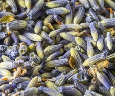 Lavender Flower Buds - 100 Pure Dried Fresh Grade A  Size 1 LB
