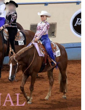 Tandy Jo Elegant Show Apparel Western Pleasur...