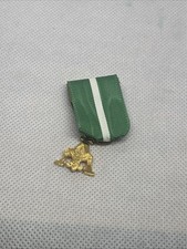 BSA Green And White Adult Leader Pin
