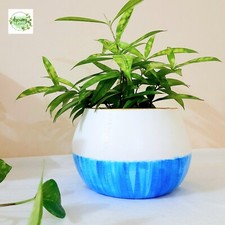 Custom Hand-Painted Pot   Elegant Half-Blue, Half-White Design   Personalizable