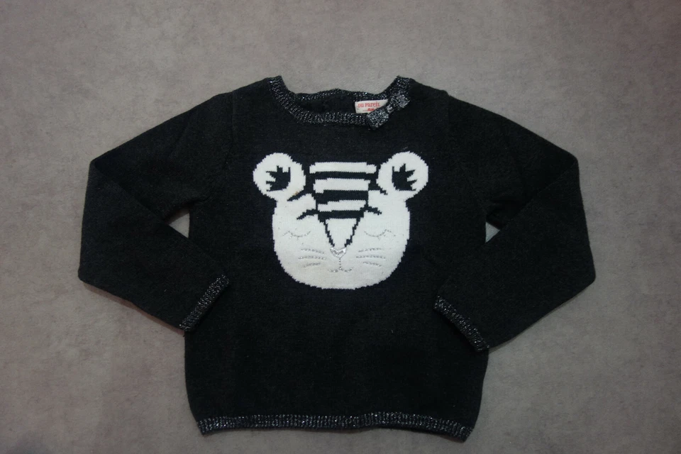 Pull Gris Foncé "Tigre" Du Pareil Au Même - 2 Ans - Photo 1/2