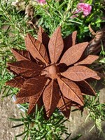 Edelrost Blume Claire Edelrostblume Metallblume Blume Rost Metall Gartendeko