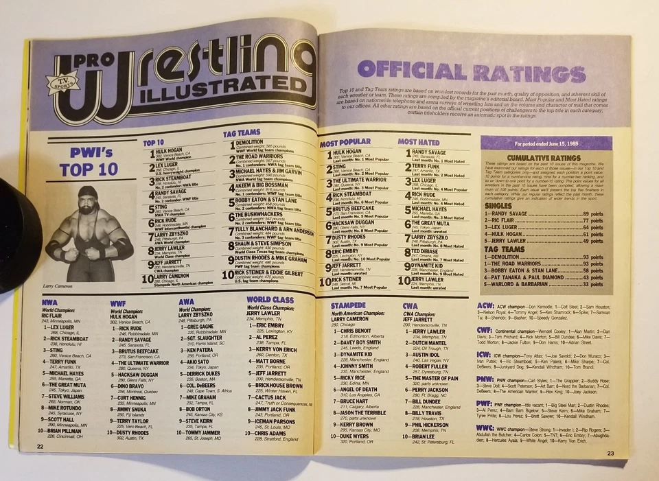 REVISTA ILUSTRADA DE LUCHA LIBRE PROFESIONAL OCTUBRE 1989 HULK HOGAN LUGER STING GROSERO WWF NWA Foto 4 de 4