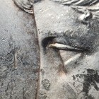 Bild 7 von 9