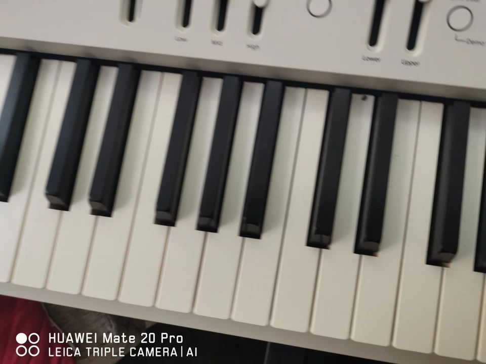 Roland FP-90X Flagship Portable Digital Piano 88-Note White, photo 2 of 5
