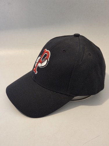 Pawsox Hat Minor League Baseball Hook And Loop Adjustable One Size Bear Logo - Picture 2 of 10