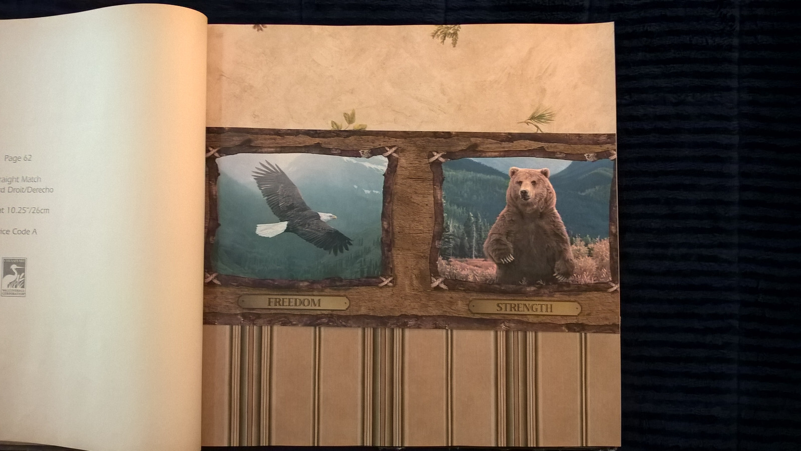 Picture 10 of 24