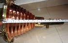 Bild 12 von 12