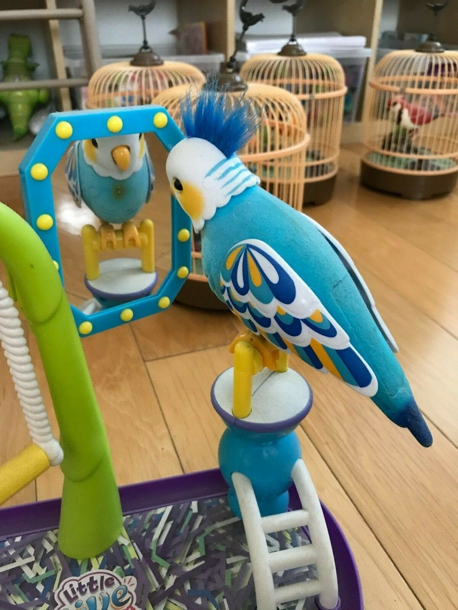 HOT Pets Cleverkeet Live Pet Bird Toy Moose Toys Little Live Pets