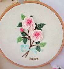 Beginners Embroidery Kit  Roses  