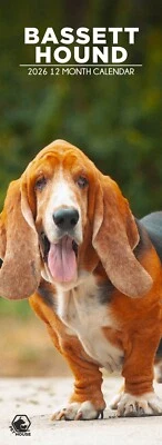 Bassett Hound Dog 2026 Slim Calendars