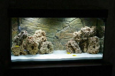 TM AQUATIX Fish Tank Rock Aquarium Stone Decoration Ideal for Malawi LIGHT LIMESTONE 20kg