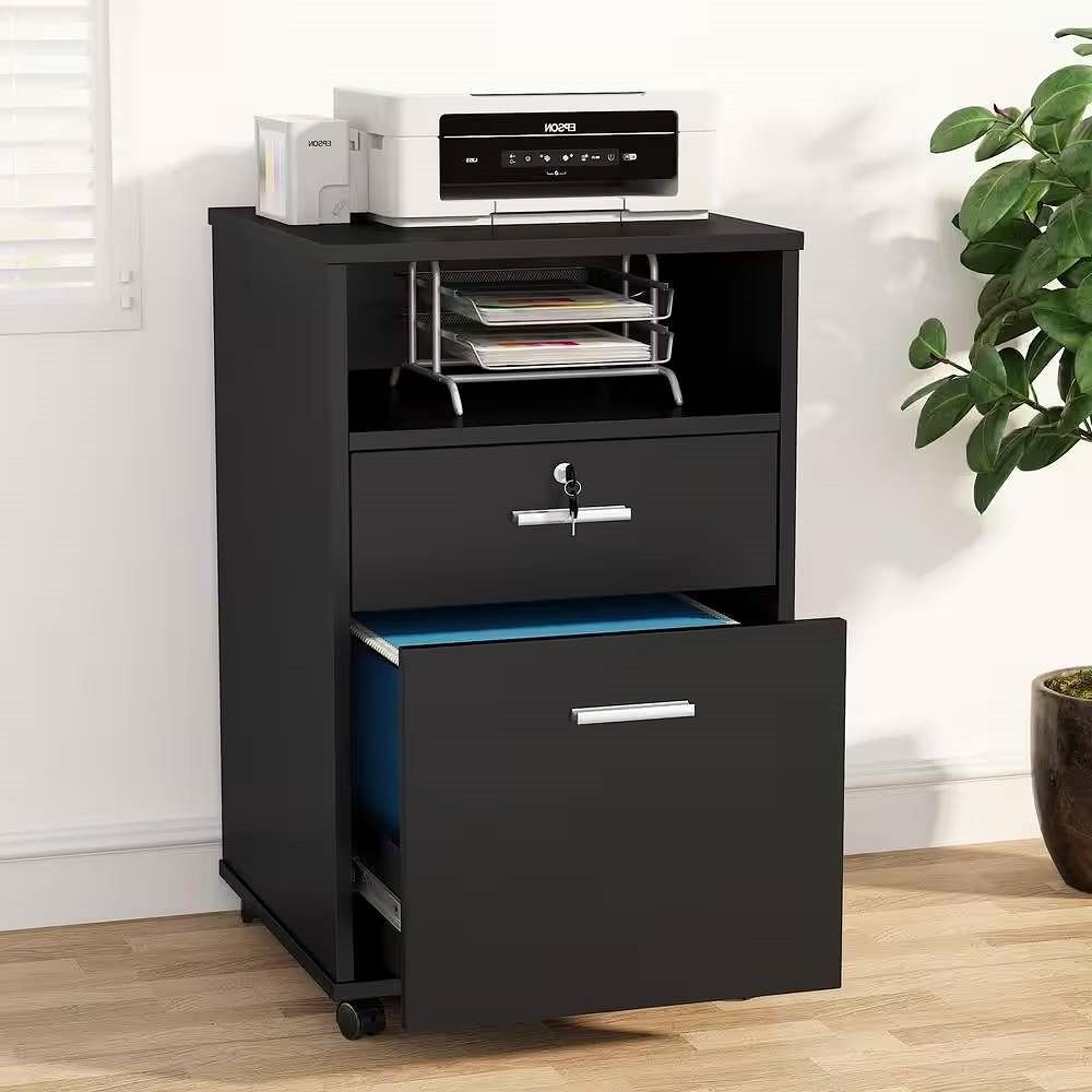 Black 2-Drawer Mobile File Cabinet with Wheels for Printer or Office Storage  