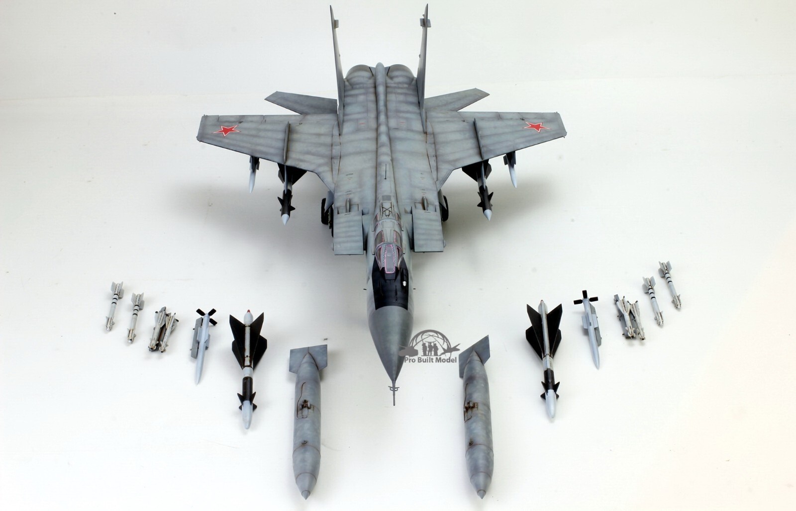 PreSale Russia MiG-31 Foxhound 1:48 Pro Built Model