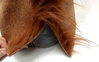Bild 8 von 14