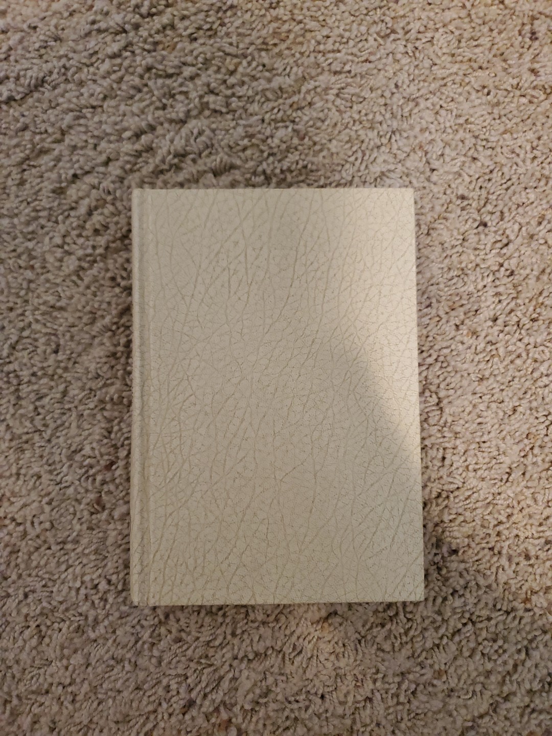 Picture 2 of 13
