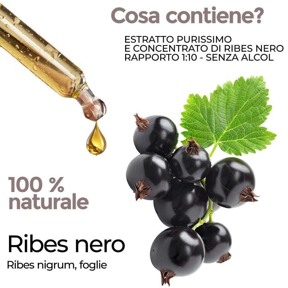 Ribes Nigrum - Ribes Nero in Gocce 100 ml | Antinfiammatorio Drenante Depurante - Immagine 3 di 4