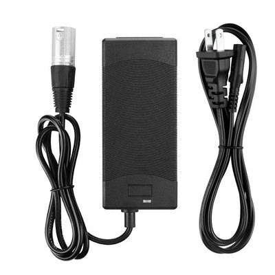 AC/DC Adapter For Go-Go Go-Chair, LX (S50LX/S54LX), Sport (S73/S74) Power