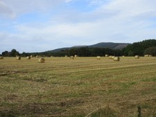 Photo A3 Golden field of hay bales Brucklebog Bales in a field south of  c2017