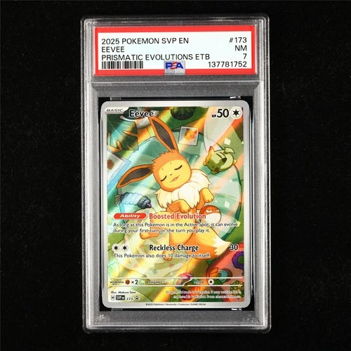 PSA 7 NM 2025 Pokemon ENG Eevee #173 Promo