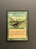 Carpet of Flowers Urza's Saga NM- MTG Magic the Gathering d