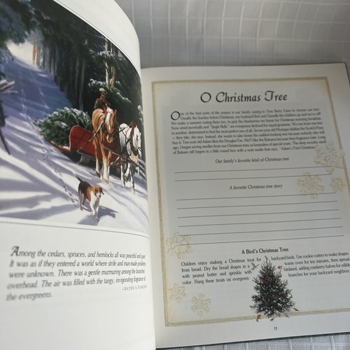 Deluxe Donna Green Christmas At Our House Family Traditions Hardcover Book 1995 - Picture 6 of 8