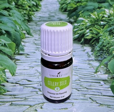 Young Living Celery Seed Essential Oil 5ml NEW SEALED