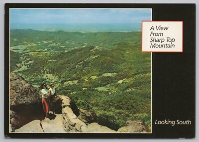 State View~View From Sharp Top Mountain Looking South~Continental Postcard
