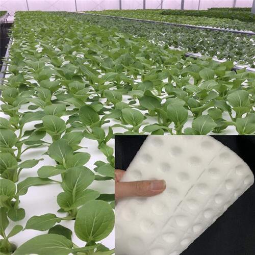 Juhao 100Pcs Hydroponic Sponge Planting Gardening Tool Square Seedling Sponge... - Picture 2 of 3