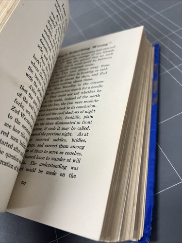 VINTAGE BOOK LOST AMONG THE RED MEN EDWARD ELLIS COWBOY INDIA 1900 ART ARTWORK - Bild 7 von 16