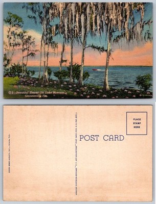 Vintage Lake Newnan Gainesville Florida Spanish Moss Linen Postcard 1947