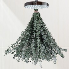 16 Pcs Preserved-Dried-Eucalyptus-Branches,17 Real Natural Fresh Eucalyptus